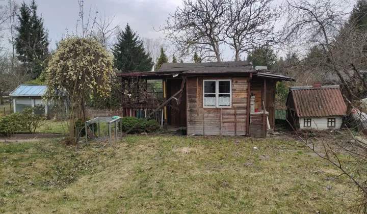 Działka rod Łódź Widzew, ul. Lodowa