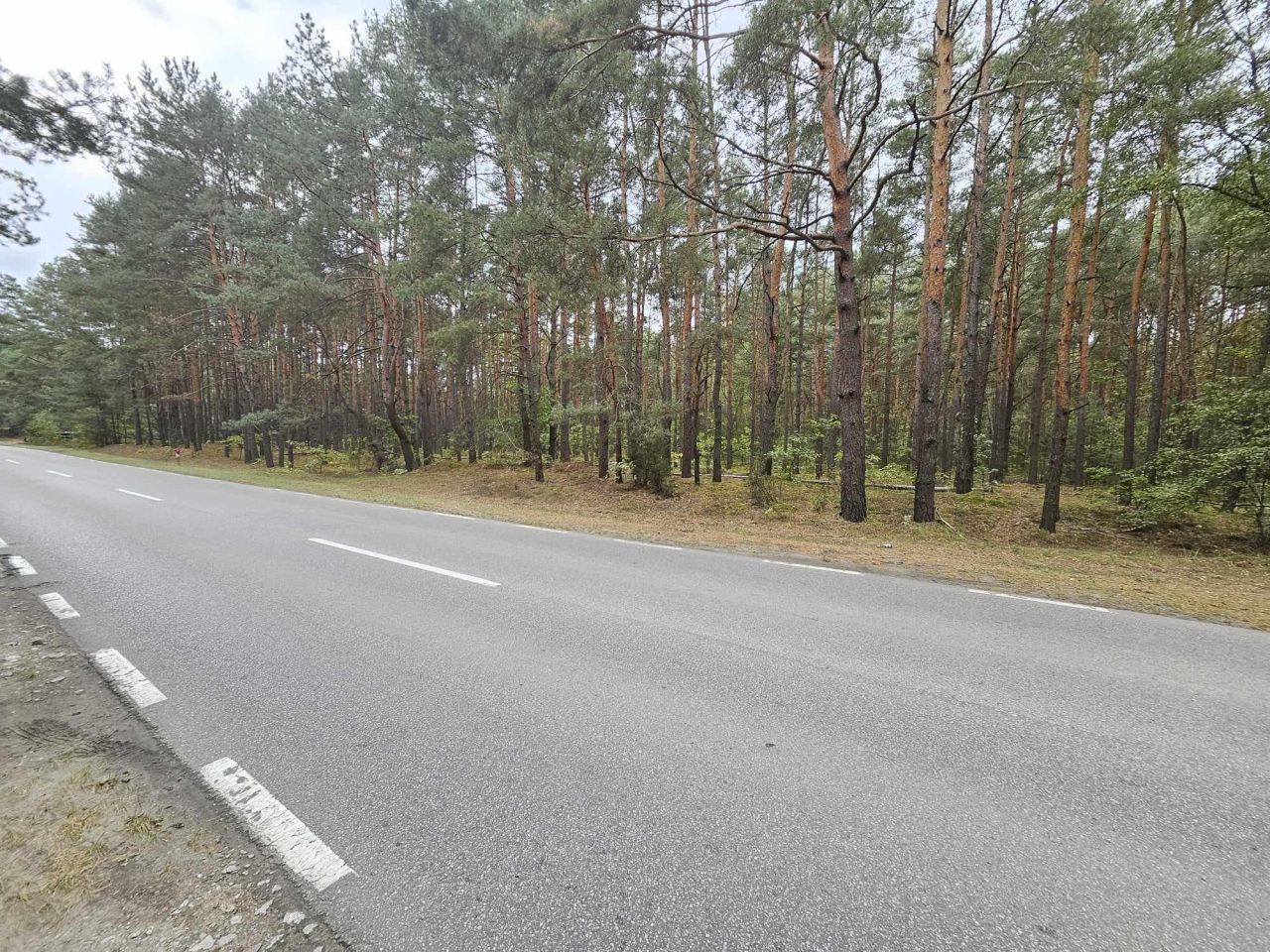 Działka leśna Radzymin Rejentówka, ul. Zygmunta Wróblewskiego. Zdjęcie 5