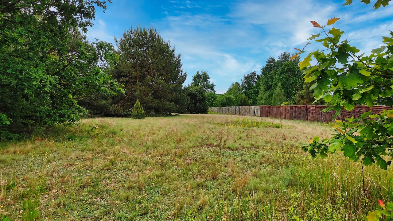 Działka budowlana Chojnów. Zdjęcie 8