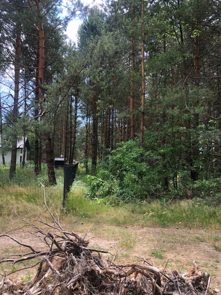 Działka rekreacyjna Życiny. Zdjęcie 2