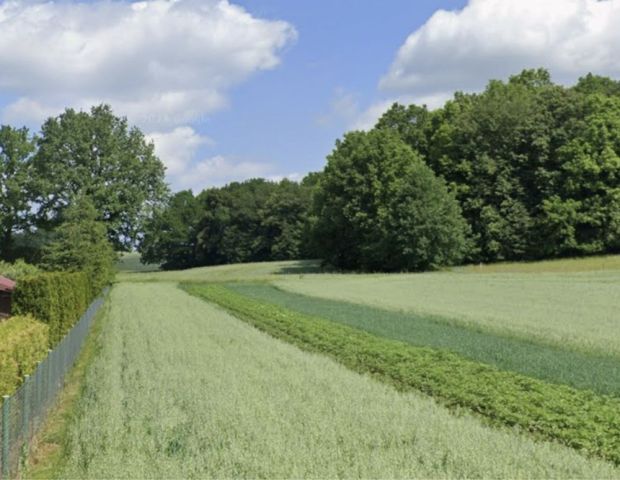 Działka rolna Studniska Dolne. Zdjęcie 1