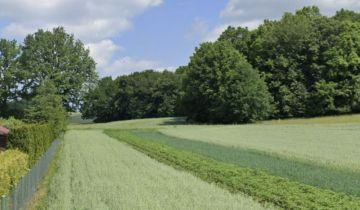 Działka rolna Studniska Dolne