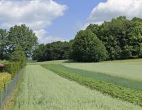 Działka rolna Studniska Dolne