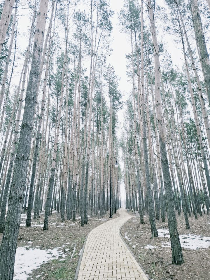 bliźniak, 3 pokoje Gilów, Gilów. Zdjęcie 13