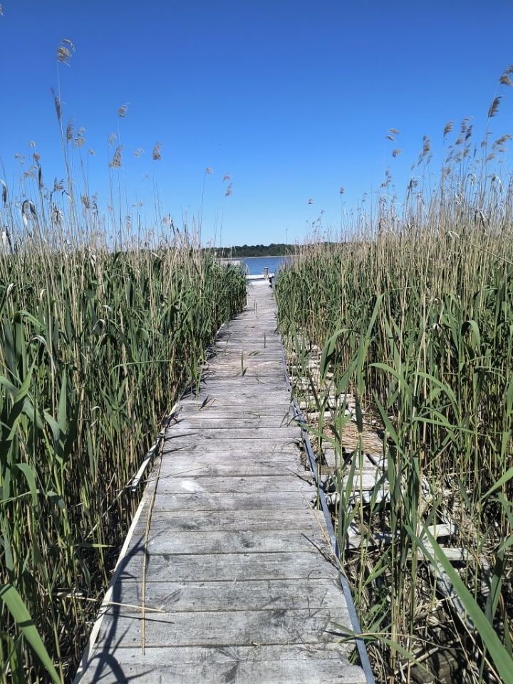 Działka rolna Kluki Oćwieka. Zdjęcie 3