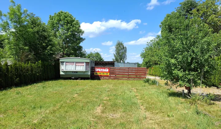 Działka rolna Gruszczyn, Gruszczyn