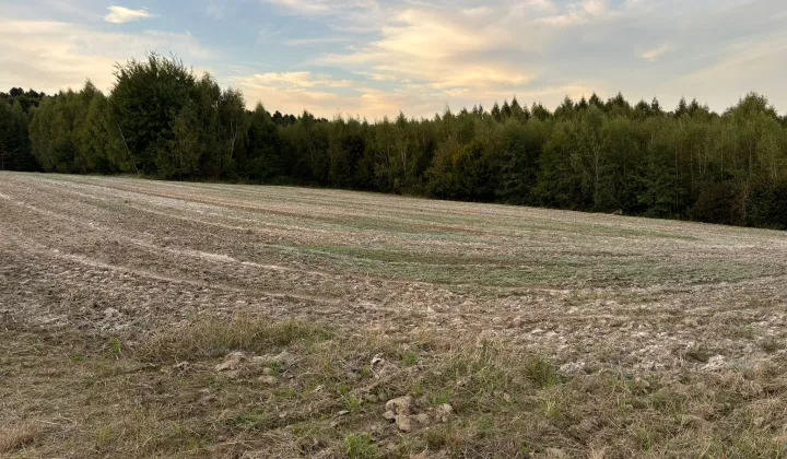 Działka rolna Biały Kościół Iwiny, ul. Iwiny