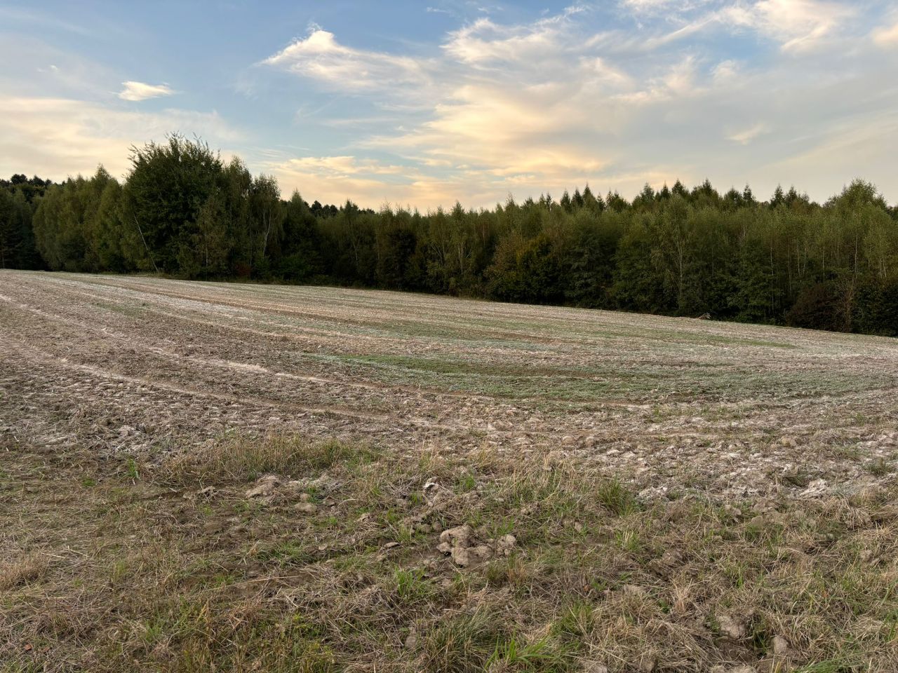 Działka rolna Biały Kościół Iwiny, ul. Iwiny