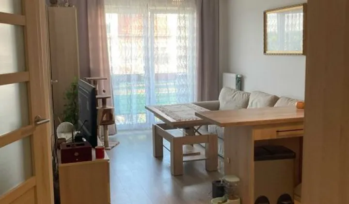 Mieszkanie 2-pokojowe Legnica, ul. Wiązowa