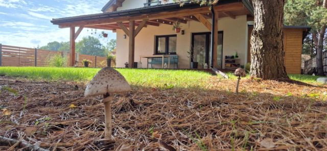 dom wolnostojący, 4 pokoje Łoś. Zdjęcie 4