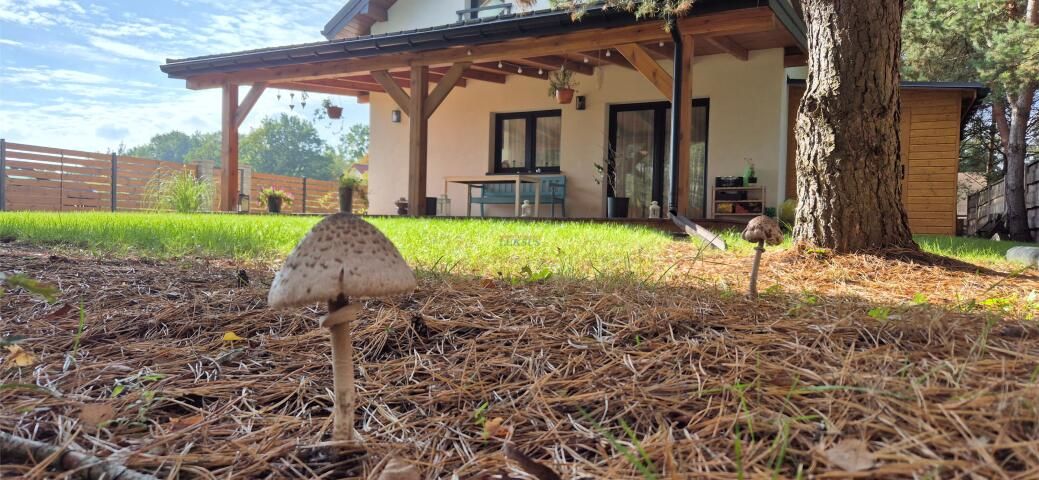 dom wolnostojący, 4 pokoje Łoś. Zdjęcie 4