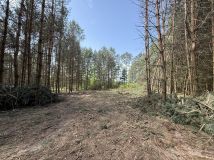 Działka budowlana Ostrowina. Zdjęcie 2