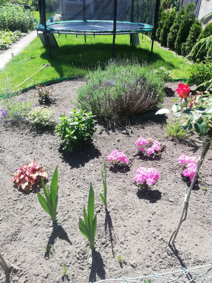 Działka rod Inowrocław, ul. Poznańska. Zdjęcie 10