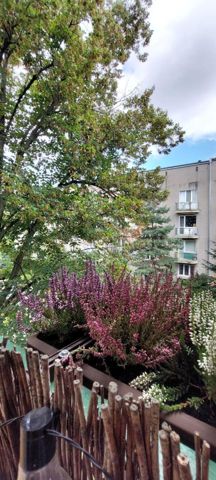 Mieszkanie 2-pokojowe Łódź Górna, ul. Adolfa Dygasińskiego. Zdjęcie 12