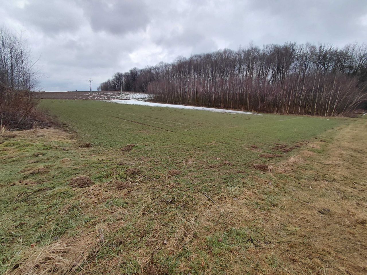 Działka budowlana Ropczyce, ul. Kolonia. Zdjęcie 2