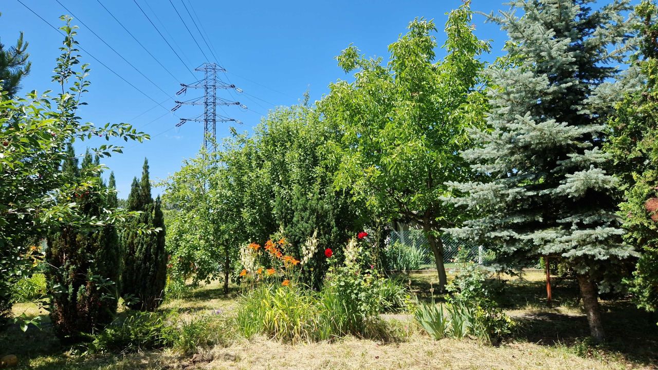 Działka rod Mielec. Zdjęcie 6