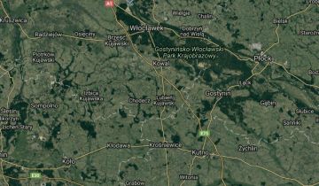 Działka leśna Krzewie