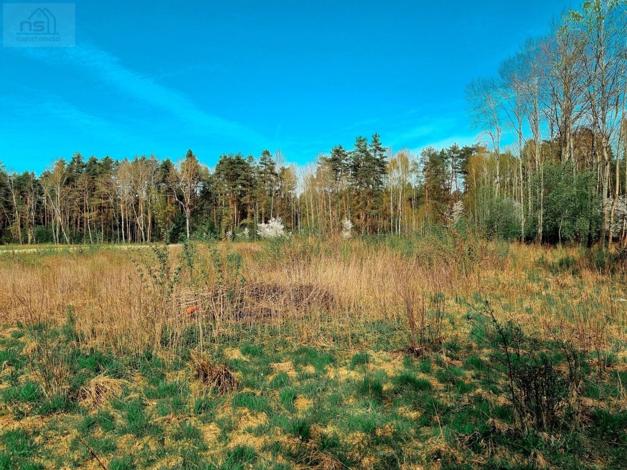 Działka siedliskowa Zabłudów, ul. Kolonia. Zdjęcie 6