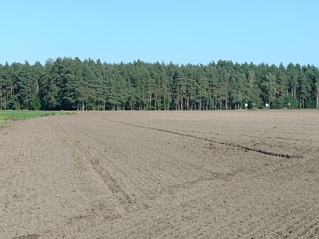 Działka budowlana Rodzone. Zdjęcie 7