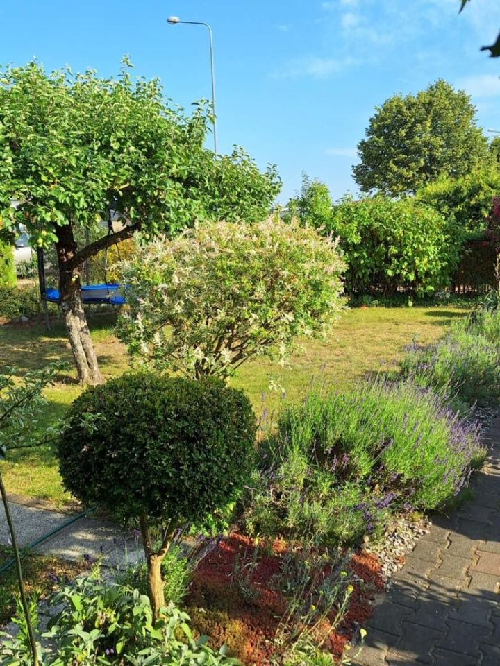 Działka rod Szamotuły, ul. Feliksa Nowowiejskiego. Zdjęcie 4