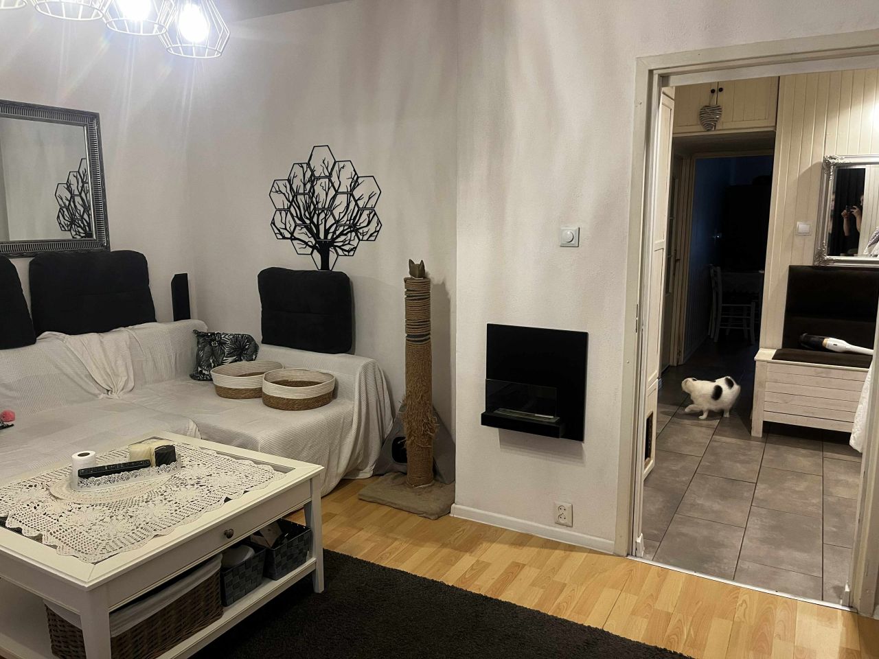 Mieszkanie 3-pokojowe Aleksandrów Łódzki Centrum, ul. Senatorska. Zdjęcie 4