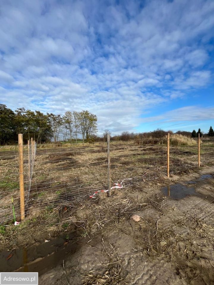 Działka rolno-budowlana Podkampinos. Zdjęcie 14