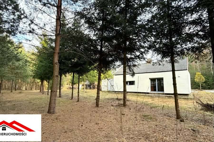 siedlisko, 3 pokoje Szczawno Pod Rakiem, Szczawno. Zdjęcie 2