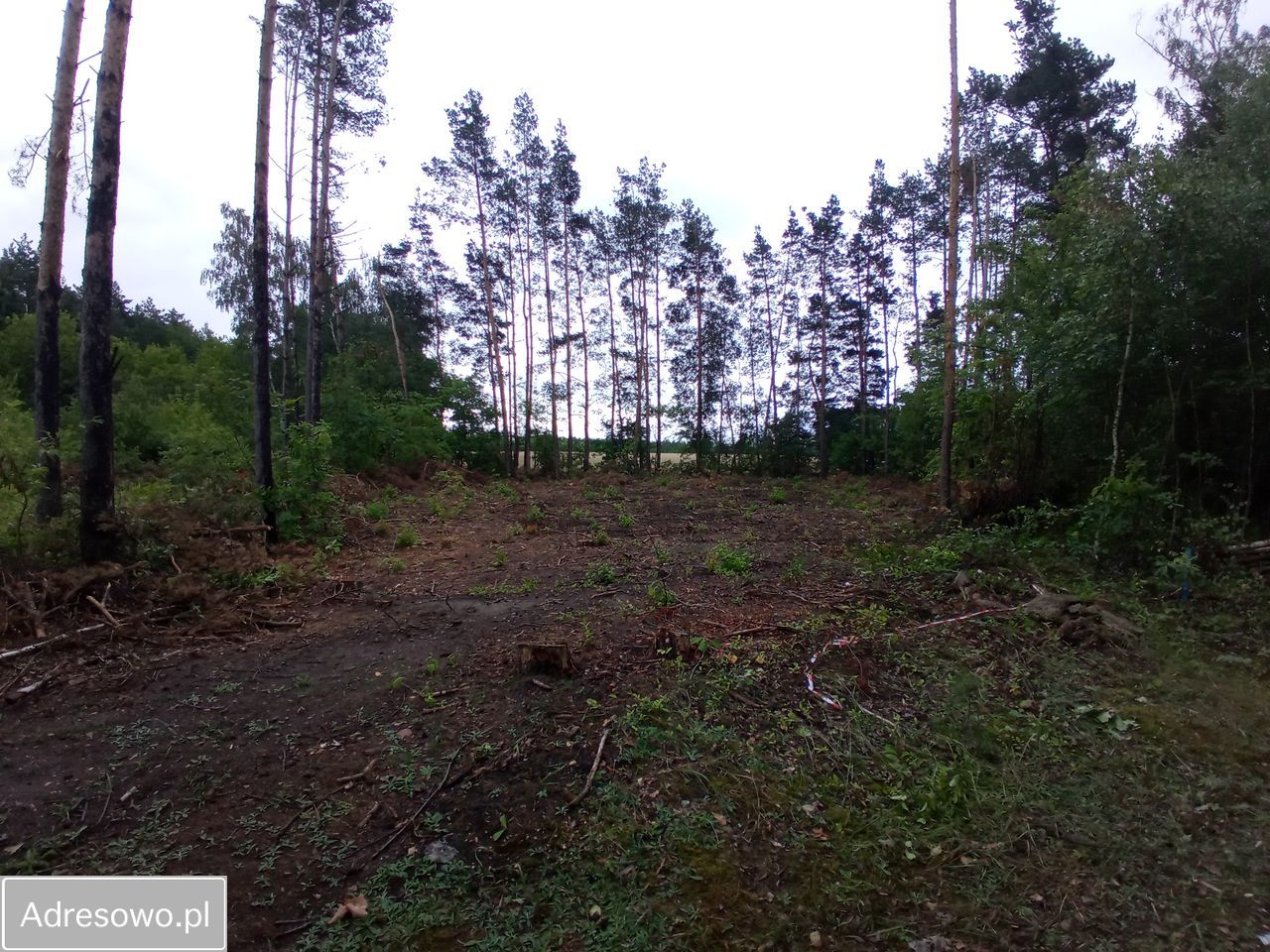 Działka budowlana Ostrów Mazowiecka, ul. Żwirowa. Zdjęcie 2