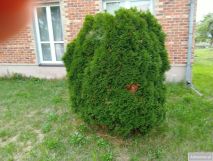 dom wolnostojący, 4 pokoje Anusin. Zdjęcie 1