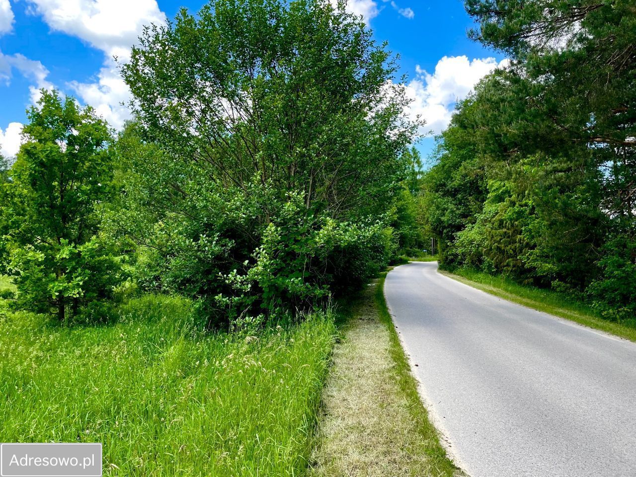 Działka Skrzelczyce. Zdjęcie 2