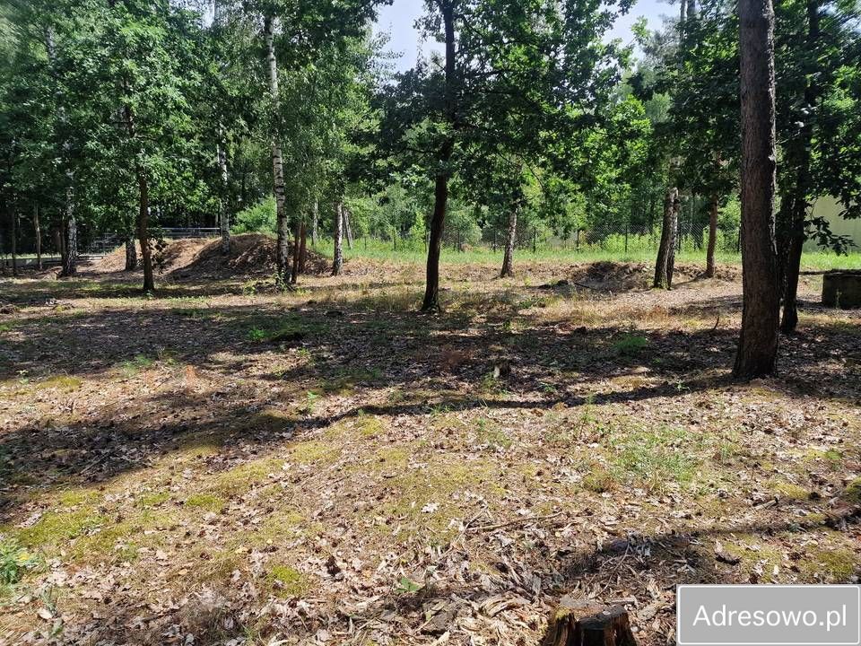 Działka rekreacyjna Jeziórko, ul. Główna. Zdjęcie 6