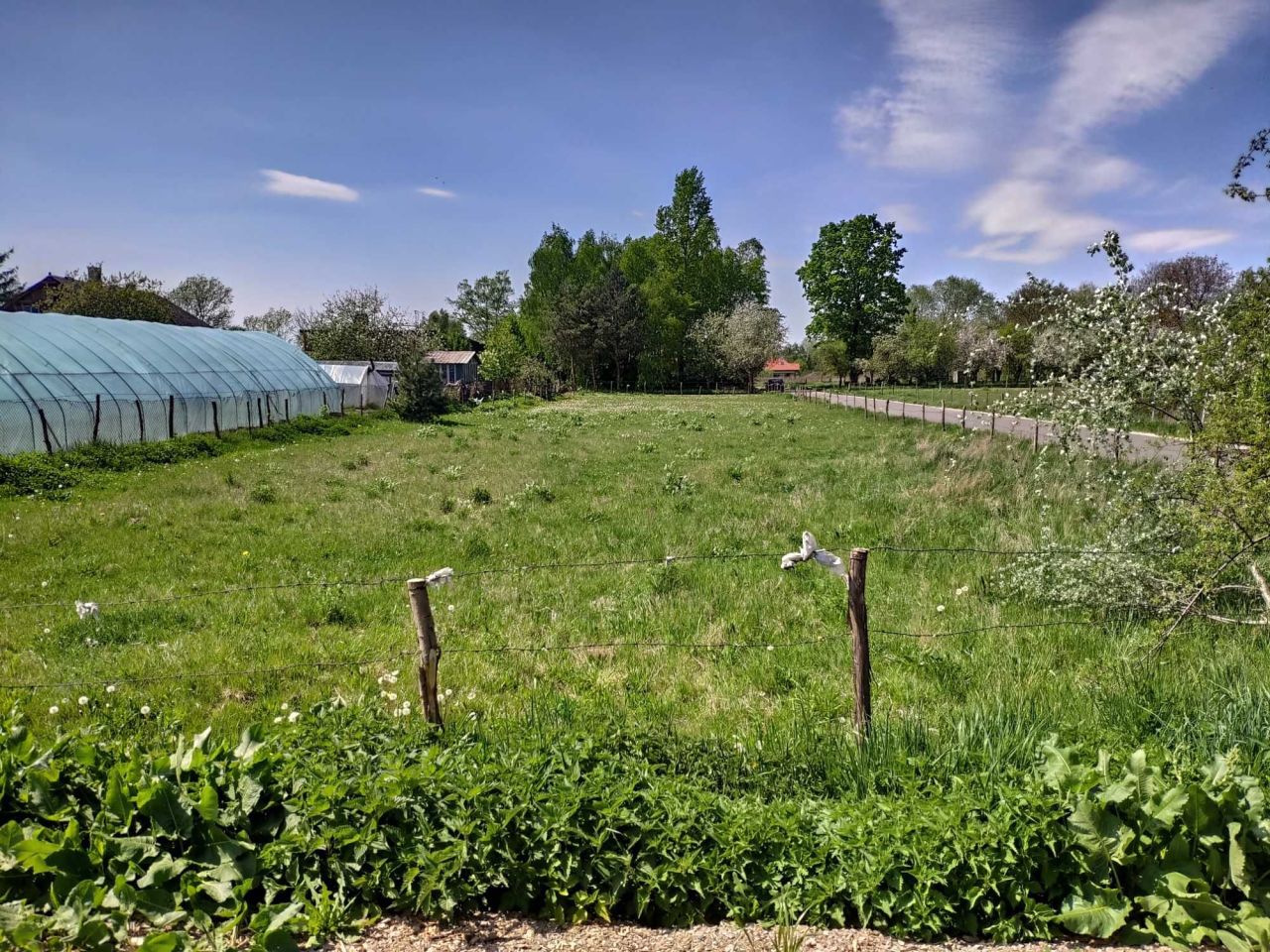 Działka inwestycyjna Kazuń Nowy. Zdjęcie 3