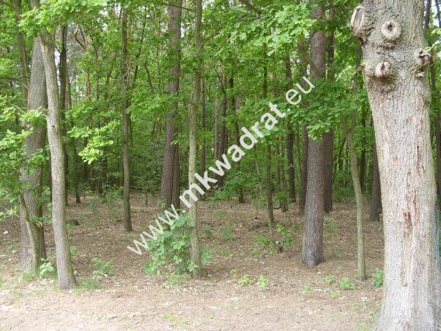 Działka budowlana Marynin. Zdjęcie 3