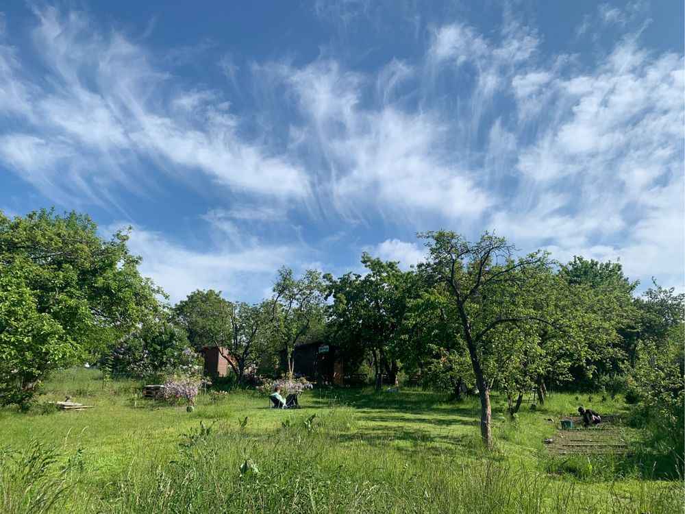 Działka rod Gdańsk Orunia. Zdjęcie 6