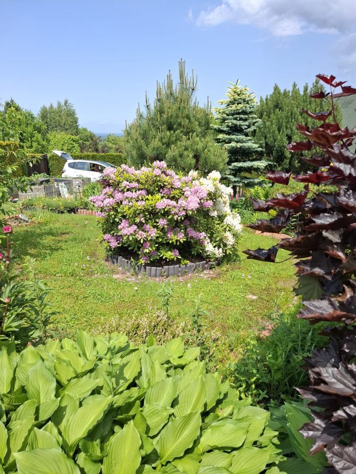 Działka rekreacyjna Bielsko-Biała Kamienica, ul. Skarpowa. Zdjęcie 7