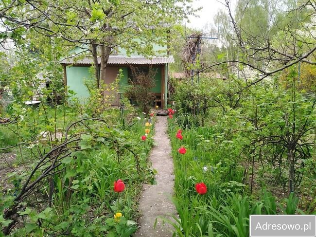 Działka rekreacyjna Dąbrowa Górnicza Podlesie