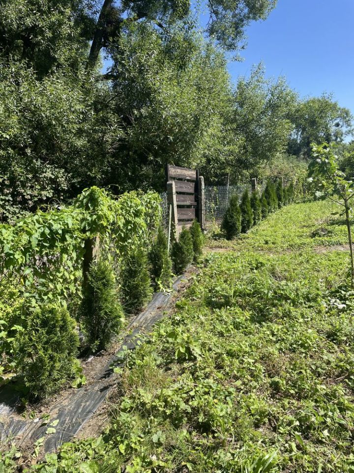 Działka rekreacyjna Szczecin Golęcino, ul. Wendeńska. Zdjęcie 2