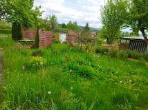 Działka rod Kamienna Góra, ul. Juliusza Słowackiego. Zdjęcie 1