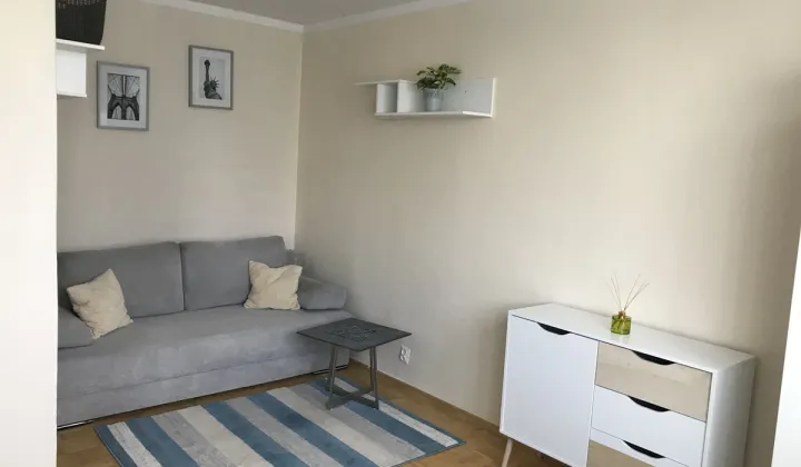 Mieszkanie 1-pokojowe Wrocław Stare Miasto, ul. Ścinawska