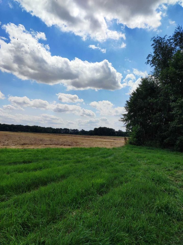 Działka rolno-budowlana Dobroszów Pieszków. Zdjęcie 4