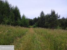 Działka rolna Rostki Skomackie. Zdjęcie 1