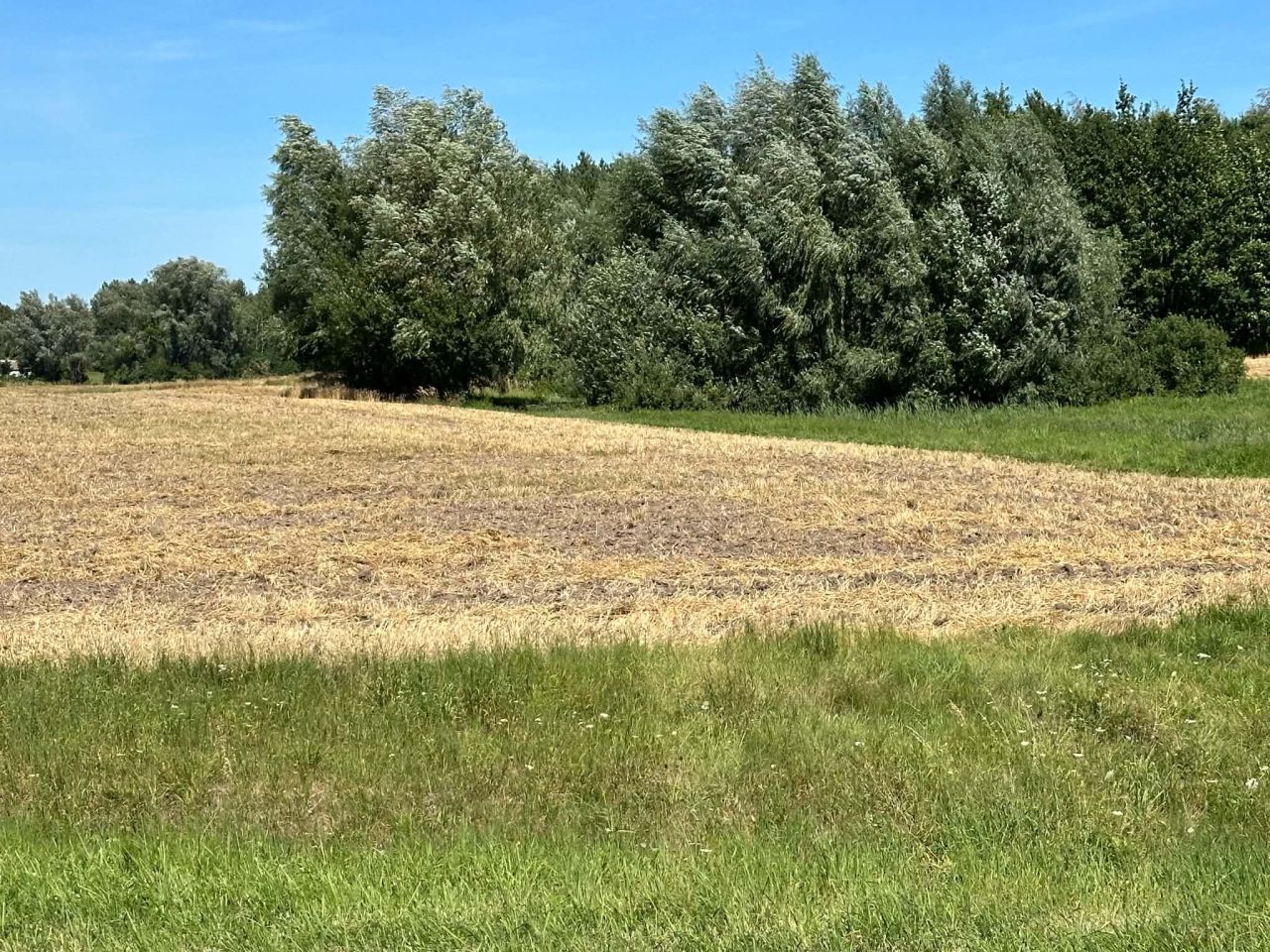 Działka rolno-budowlana Cyców-Kolonia Druga. Zdjęcie 15