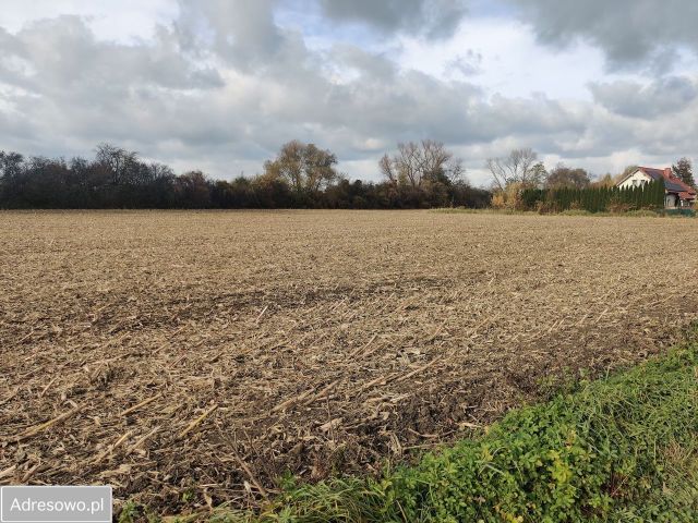 Działka rolno-budowlana Racławice Małe. Zdjęcie 1