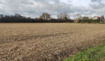 Działka rolno-budowlana Racławice Małe