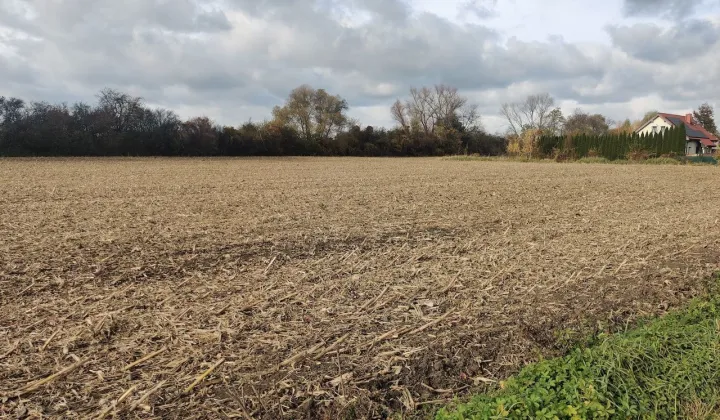 Działka rolno-budowlana Racławice Małe