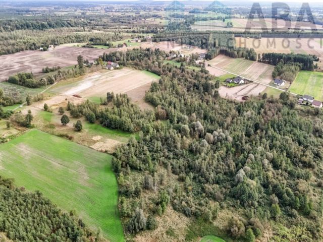 Działka rolna Brzózki. Zdjęcie 3