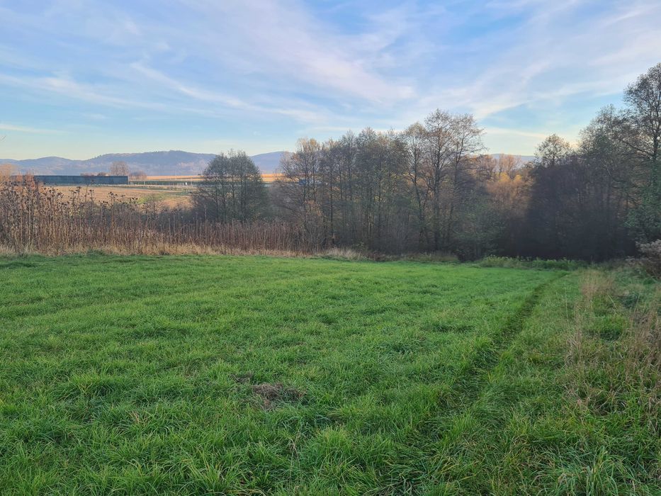 Działka rolna Pietrzykowice. Zdjęcie 5