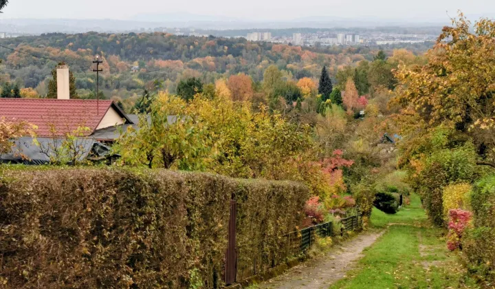 Działka rod Kraków Zwierzyniec