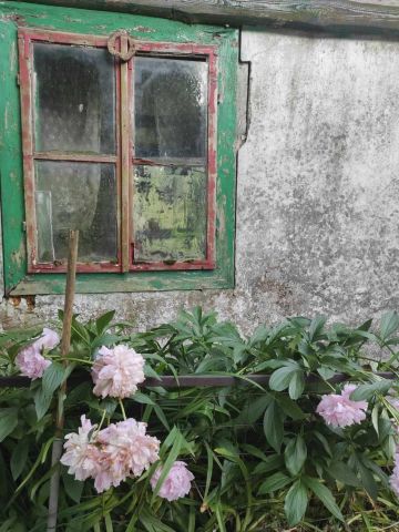 Działka siedliskowa Popowice. Zdjęcie 10