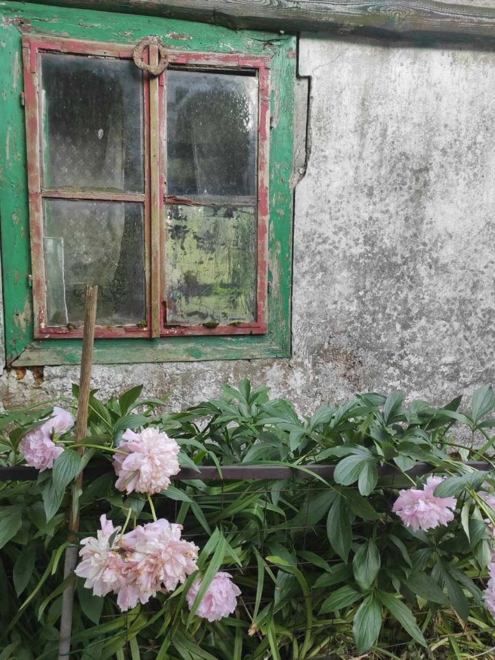 Działka siedliskowa Popowice. Zdjęcie 10